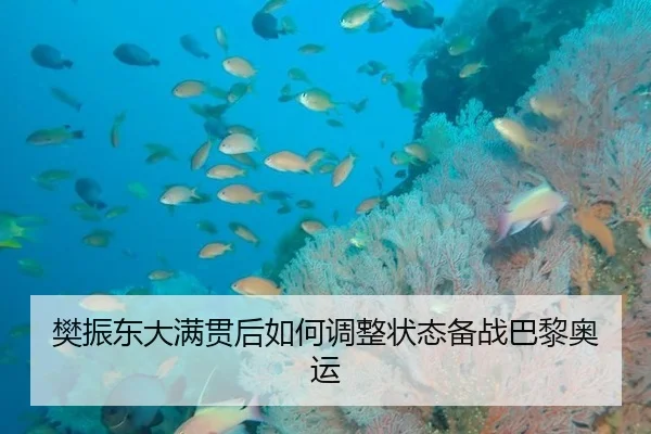 樊振东大满贯后如何调整状态备战巴黎奥运